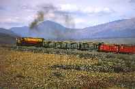 [Zug-1]